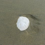 Baja2011 067 : Baja2011